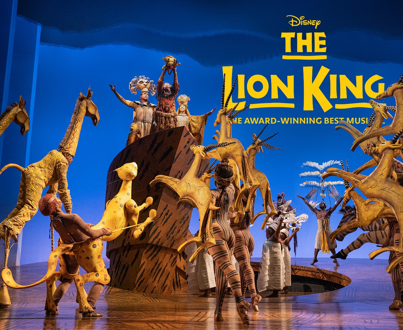 Image of Circle of Life sequence as Rafiki holds up Simba.